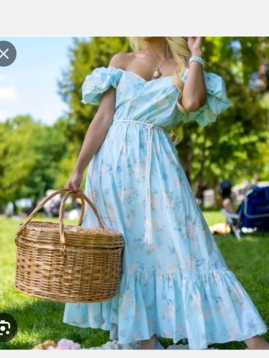 LoveShackFancy Dresses & Skirts - LoveShackFancy X Target Light Blue Floral Puff Sleeve Maxi Dress Nwt